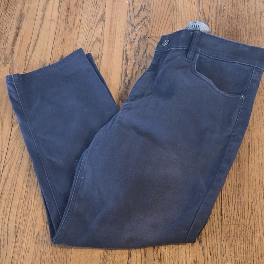 IZOD Dark Blue Pants